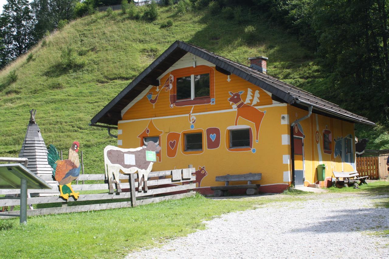 Muehlbach Alpendomizil II Apartment Muhlbach Am Hochkonig Exterior photo