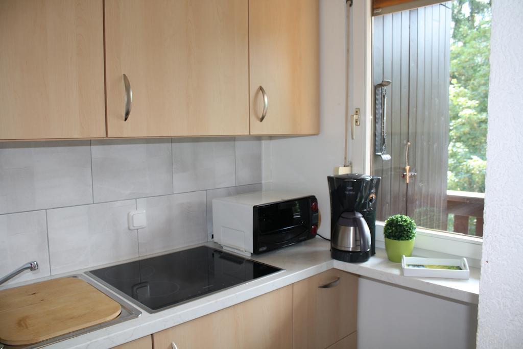 Muehlbach Alpendomizil II Apartment Muhlbach Am Hochkonig Room photo